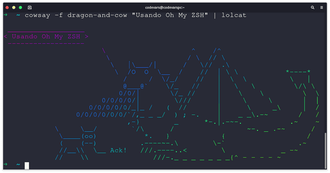 Terminal con Oh My Zsh